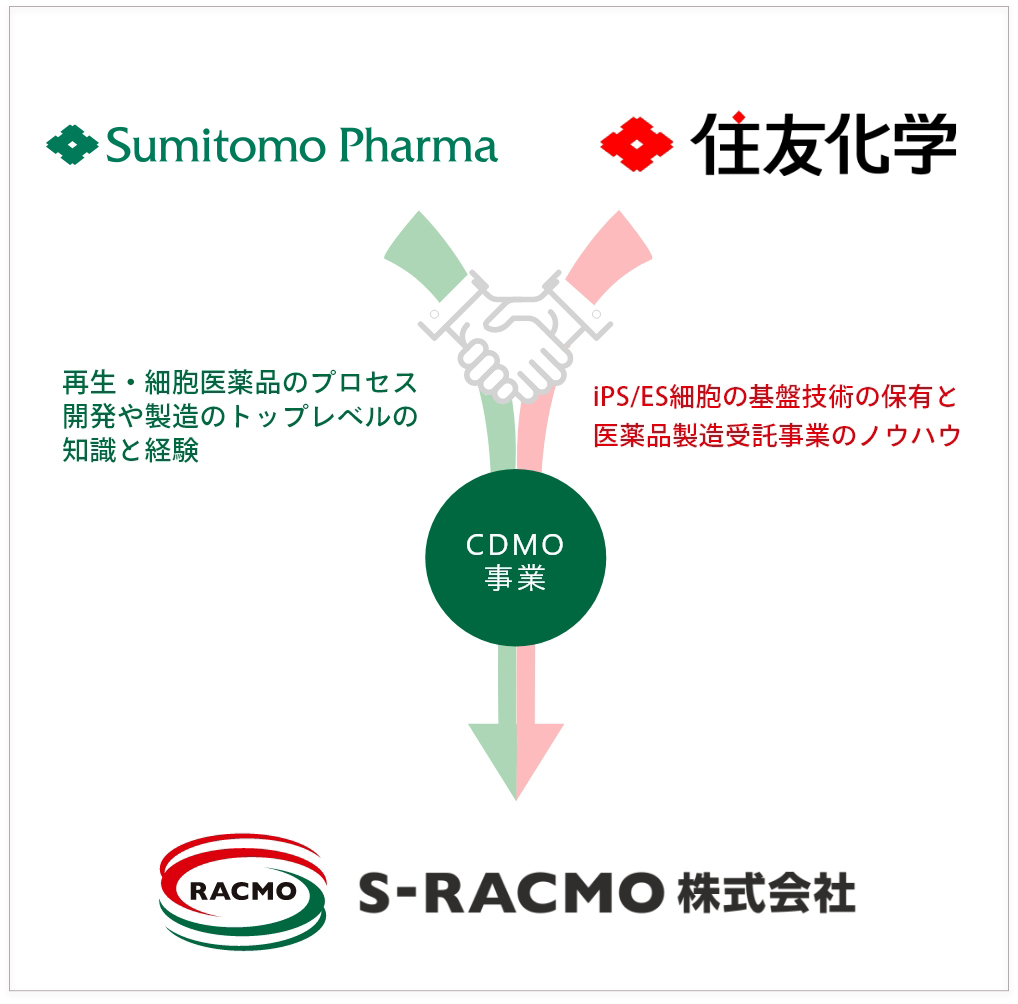 住友化学(株)。住友ファーマ(株)。再生・細胞医薬品のプロセス開発や製造のトップレベルの知識と経験。iPS/ES細胞の基盤技術の保有と医薬品製造受託事業のノウハウ。S-RACMO株式会社